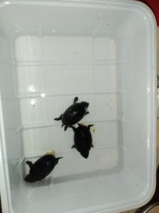 IMG_20201104_191300